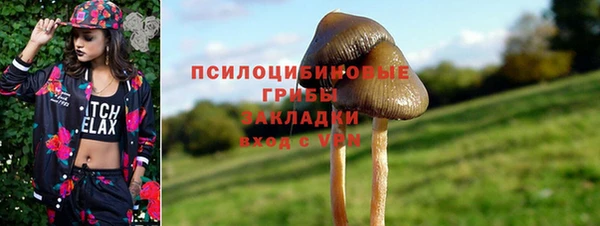 гидра Михайлов