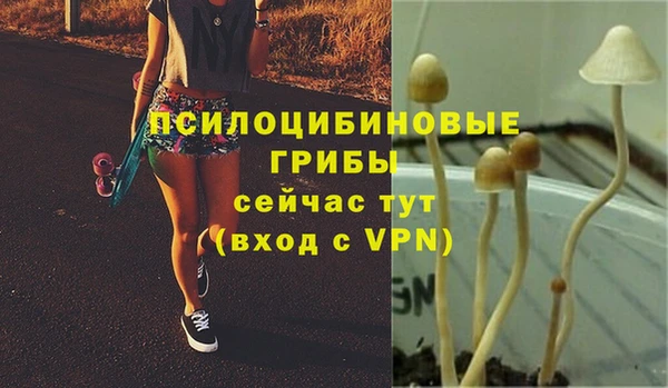 гидра Михайлов