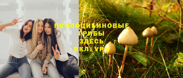 гидра Михайлов
