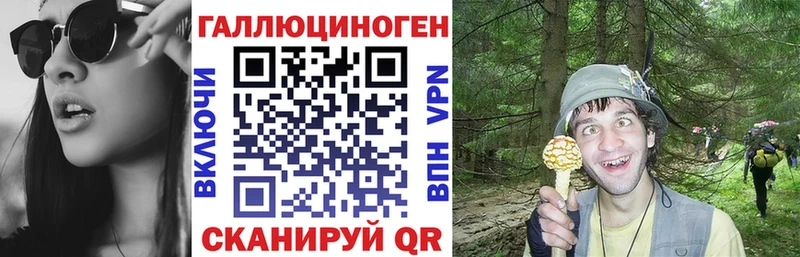 хочу наркоту  Чекалин  Галлюциногенные грибы MAGIC MUSHROOMS 